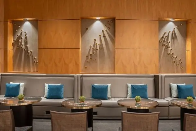 Oda, 1 En Büyük (King) Boy Yatak (Concierge Lounge Access)