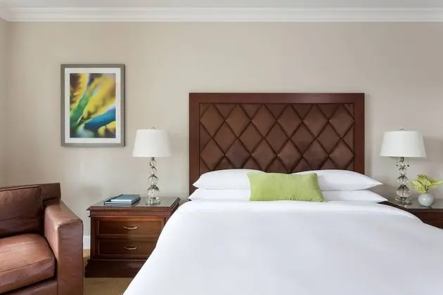 Oda, 1 En Büyük (King) Boy Yatak, Sigara İçilmez (Concierge Level)