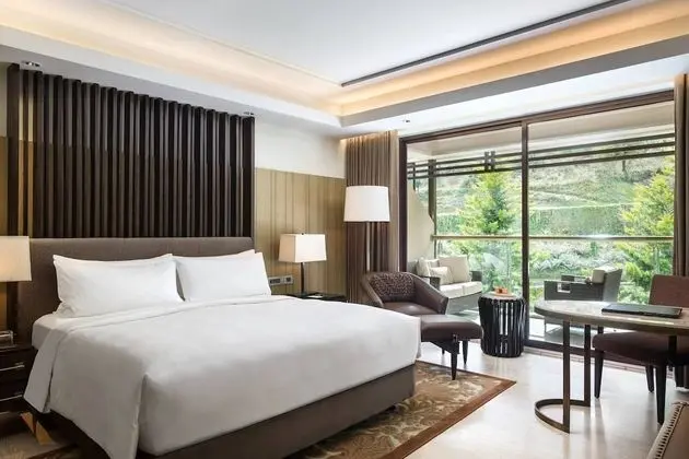 Oda, 1 En Büyük (King) Boy Yatak, Sigara İçilmez, Balkon