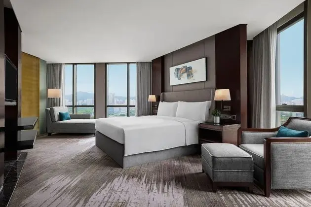 Executive Süit, 1 En Büyük (King) Boy Yatak