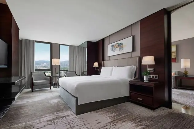 Executive Süit, 1 En Büyük (King) Boy Yatak, Şehir Manzaralı