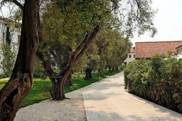 Deluxe Oda, 1 En Büyük (King) Boy Yatak, Teras (Residenza)