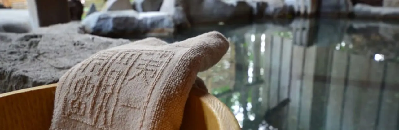Deluxe Oda, Sigara İçilmez (Western Style, w/Hot Spring)