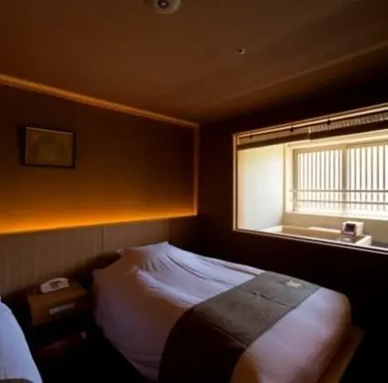 Executive Oda, Sigara İçilmez (Japanese Western Style, w/Hot Spring)
