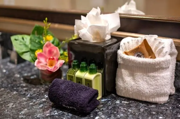 Banyo imkân ve özellikleri