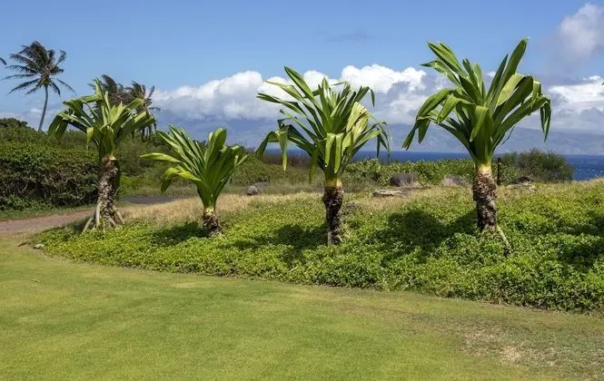 Daire, 2 Yatak Odası