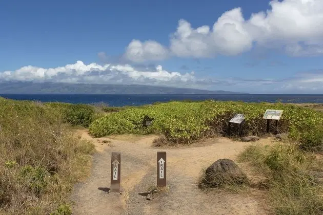 Daire, 2 Yatak Odası