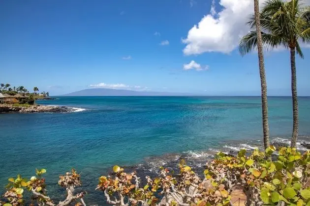 Odadan manzara