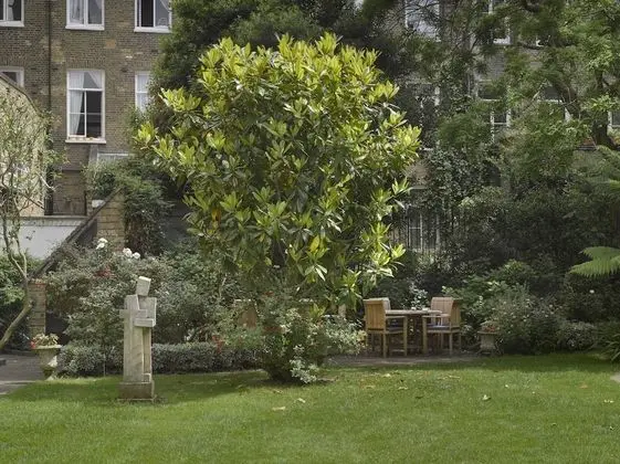 Quiet Garden View