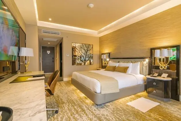 Premium Oda, 1 En Büyük (King) Boy Yatak, Danışma, Havuz Manzaralı (EXPEDIA)