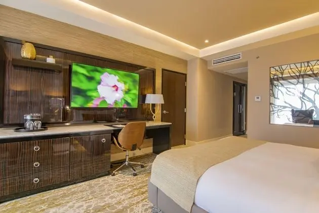 Premium Oda, 1 En Büyük (King) Boy Yatak, Danışma, Havuz Manzaralı (EXPEDIA)