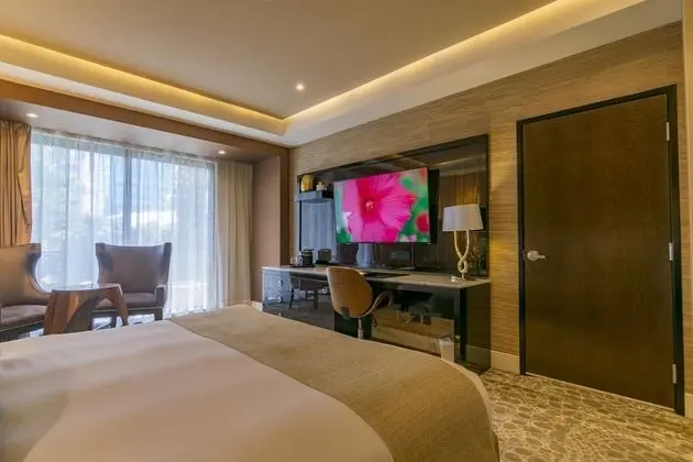 Premium Oda, 1 En Büyük (King) Boy Yatak, Danışma, Havuz Manzaralı (EXPEDIA)