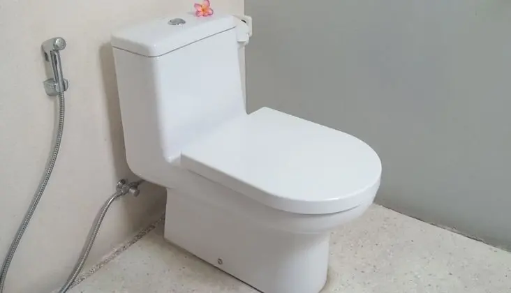 Deluxe Oda, Havuz Manzaralı
