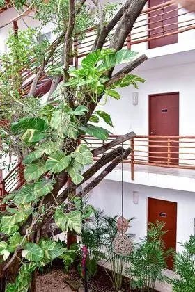 Junior Matrimonial con Balcon