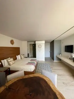 Luxury Çatı Katı (Loft), 1 Yatak Odası, Balkon, Bahçe Manzaralı