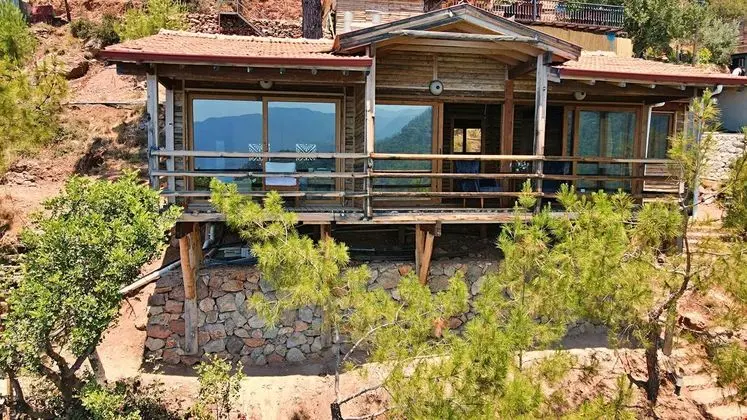 PAPATYA EVİ