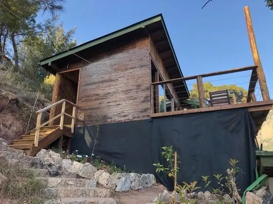PETUNYA EVİ