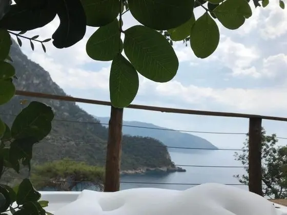 PETUNYA EVİ
