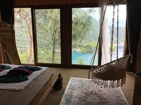 PETUNYA EVİ