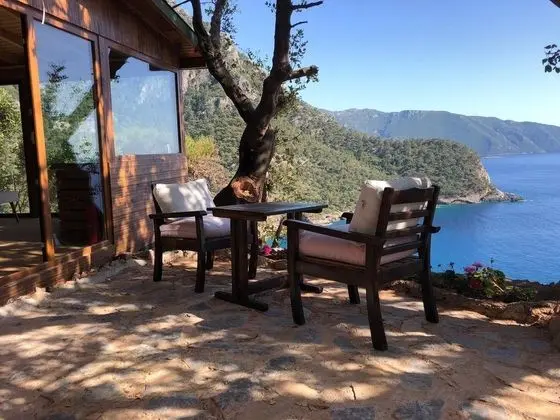 SARDUNYA EVİ