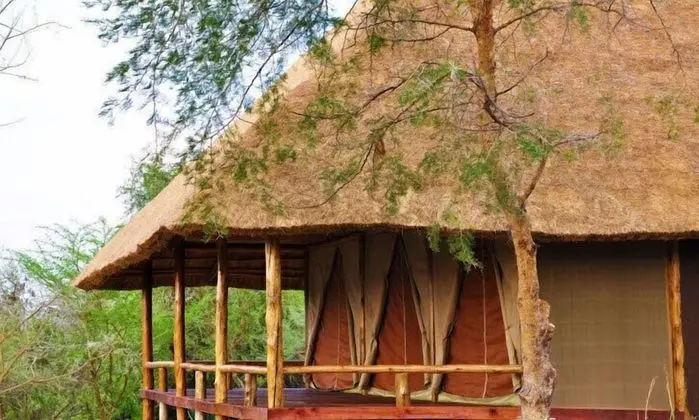 Deluxe Kulübe, Park Manzaralı