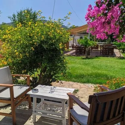 Standart Oda,Bahçe Manzaralı