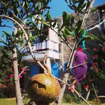 Standart Oda,Bahçe Manzaralı