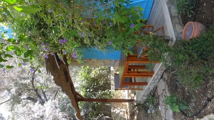 Triple,Bahçe Manzaralı