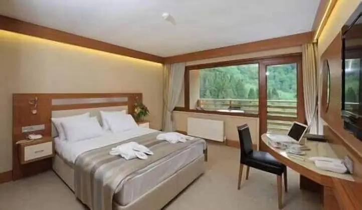 Standard Tek Büyük veya İki Ayrı Yataklı Oda, Balkon