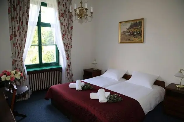 Traditional Tek Büyük veya İki Ayrı Yataklı Oda