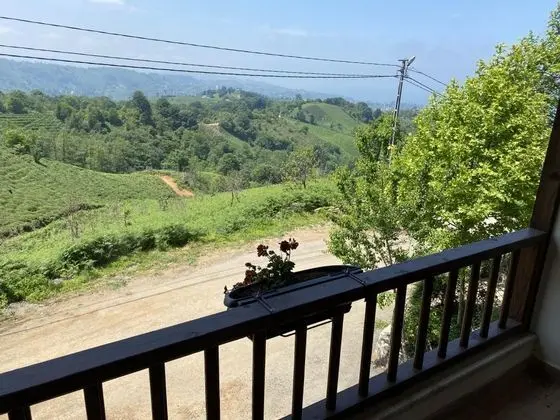 Standart Oda, Dağ Manzaralı
