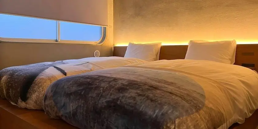 Superior İki Ayrı Yataklı Oda
