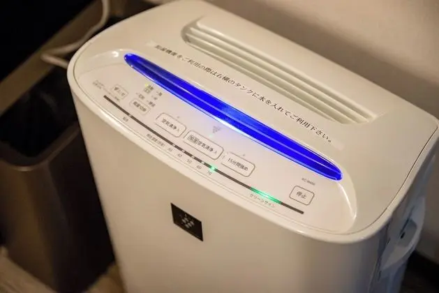Deluxe İki Ayrı Yataklı Oda, Sigara İçilmez