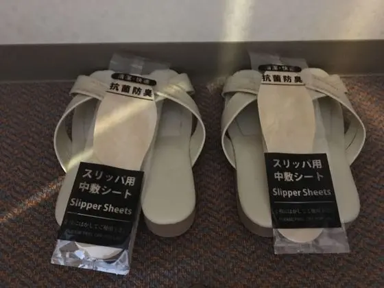 İki Ayrı Yataklı Oda, Sigara İçilmez, Dağ Manzaralı (High Floor)