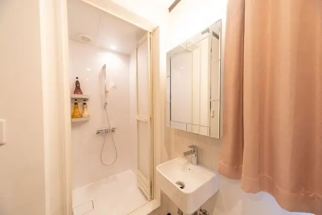 Tek Büyük Yataklı Oda, Sigara İçilmez, Dağ Yamacı (Renovated, Private Shower and Toilet)