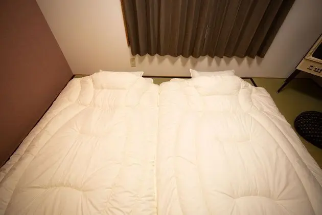 Oda, 1 Yatak Odası, Sigara İçilmez (Room 3)