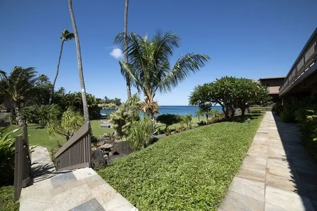 Daire, 1 Yatak Odası