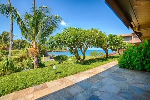 Daire, 1 Yatak Odası