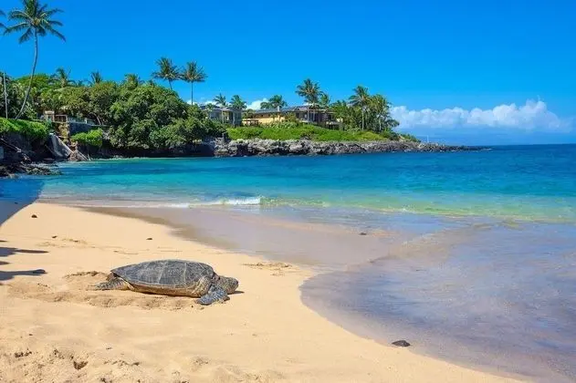 Daire, 1 Yatak Odası