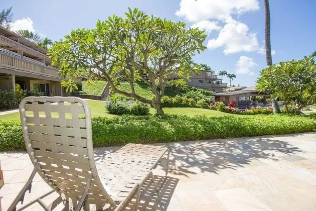 Daire, 1 Yatak Odası