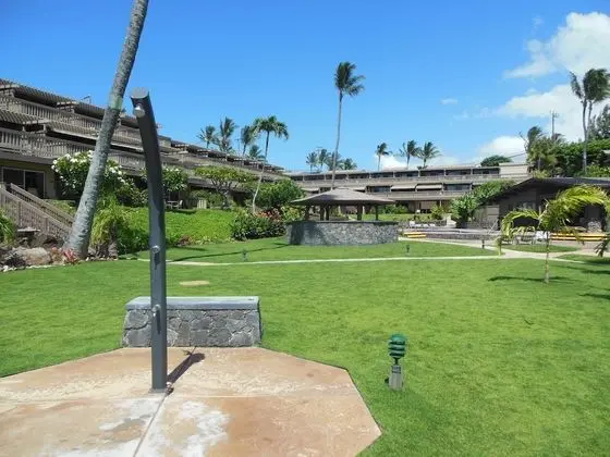 Daire, 1 Yatak Odası