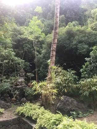 Premier Tek Büyük Yataklı Oda