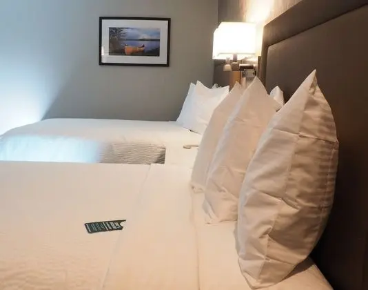 Deluxe Oda, 2 Çift Kişilik Yatak, Engellilere Uygun