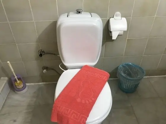 Standard Oda