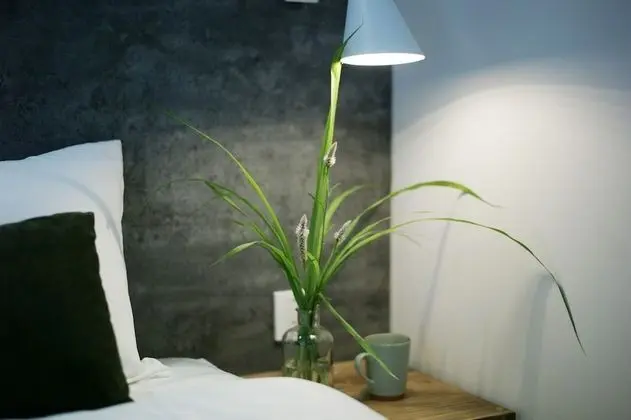 Signature Stüdyo (Private Garden Studio)