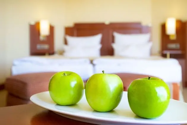 Comfort Tek Büyük Yataklı Oda, Balkon, Bahçe Manzaralı