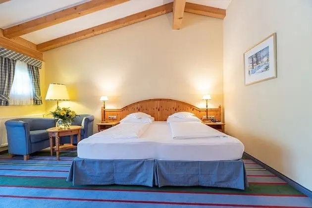 Superior Tek Büyük Yataklı Oda