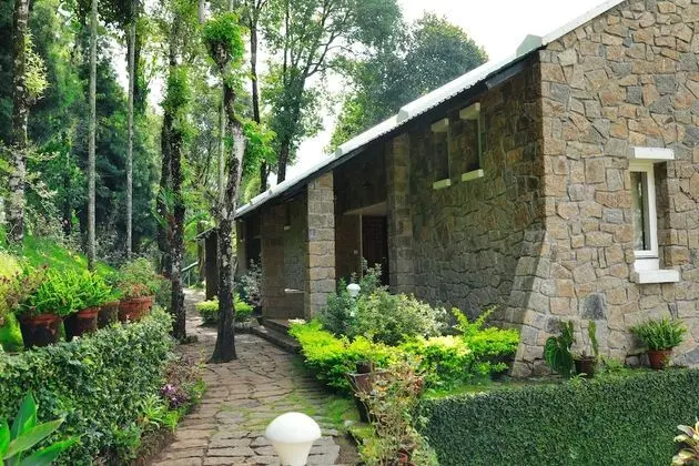 Luxury Oda, 1 Yatak Odası, Tepe Manzaralı, Dağ Yamacı