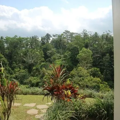 Standard Villa