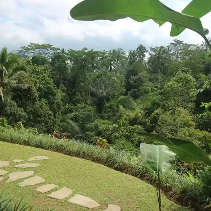 Standard Villa